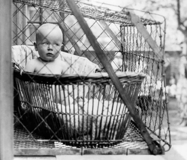 Для чего же клетки?