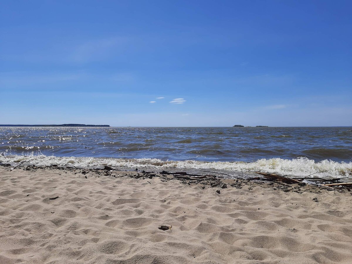      Обское море. Центральный пляж Академгородка