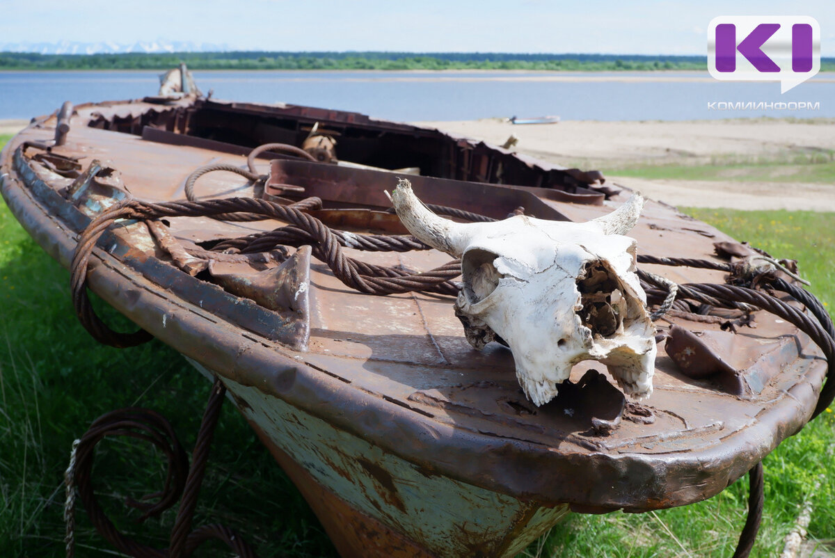 Участники «Молодежного путешествия по Коми» прошли огонь, воду и колючую  проволоку вдоль реки Печора | Комиинформ | Дзен