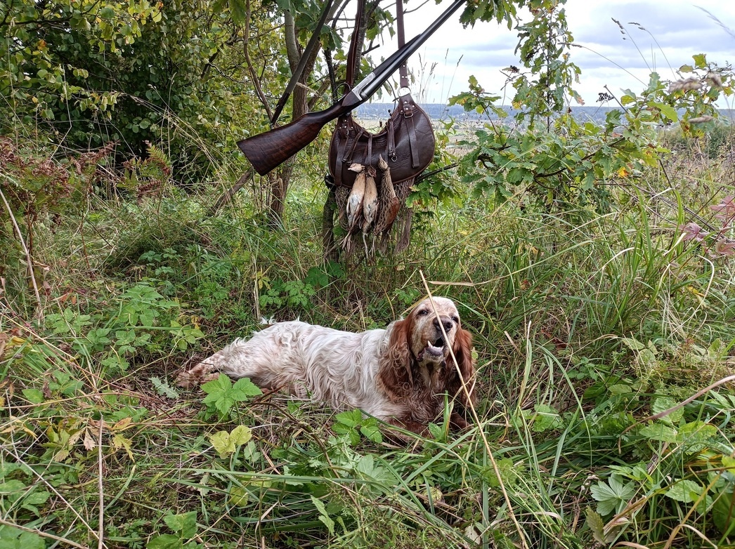     Подмосковье. Охота на коростеля