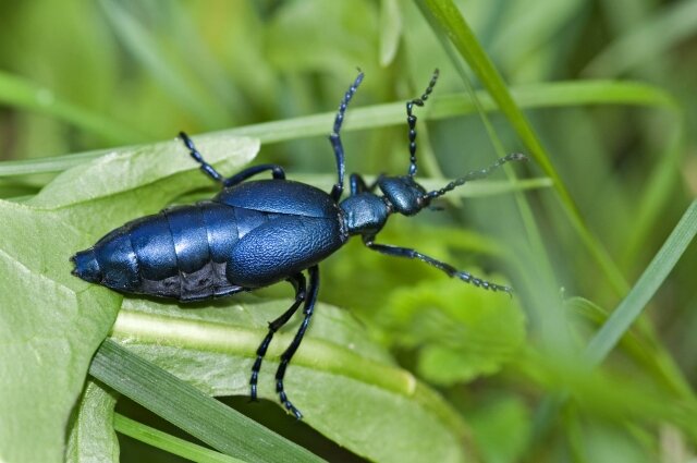    Фото:  www.globallookpress.com/ A. Laule