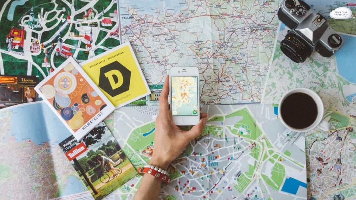 Фото из свободного доступа интернета Яндекс.картинки