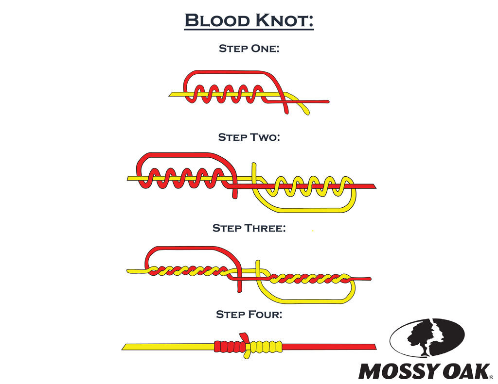 Схема узла Blood Knot