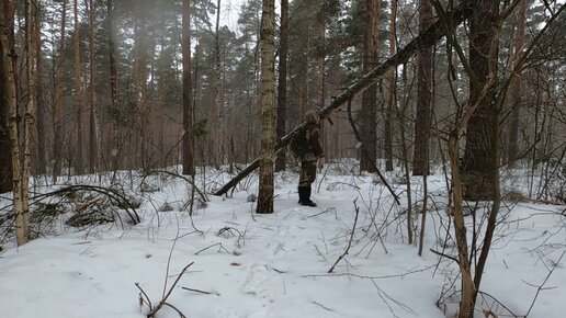 Один в лесу - весна не приходит \ Укрытие из дерева