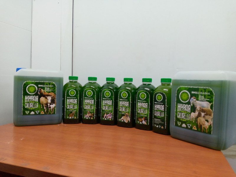 Линейка питательных растворов Хлорелла живая микроводоросль для домашних и сельхоз животных. 