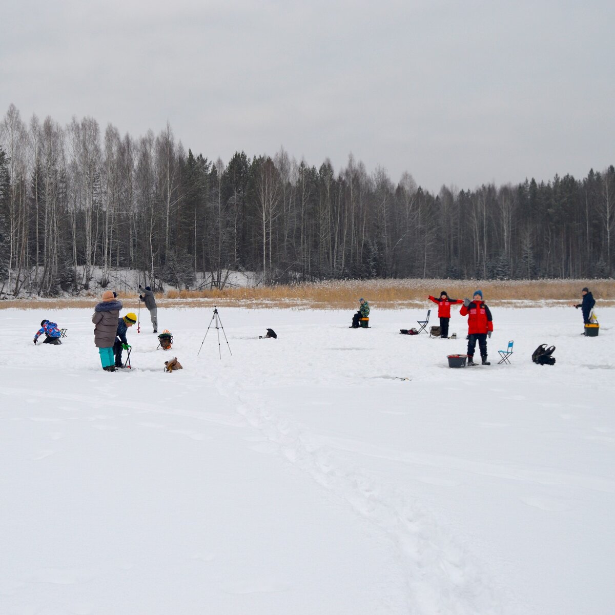 Разбурились