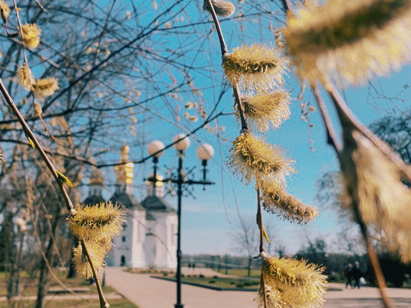 Вербное воскресенье в Дивеево