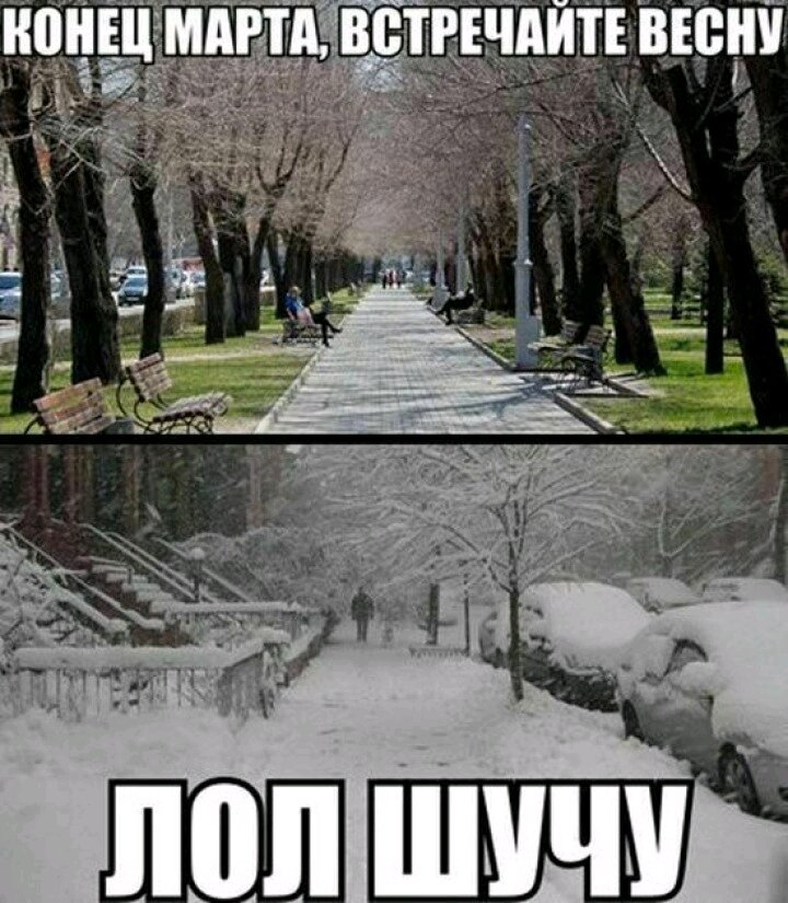 Май снег картинки с приколами