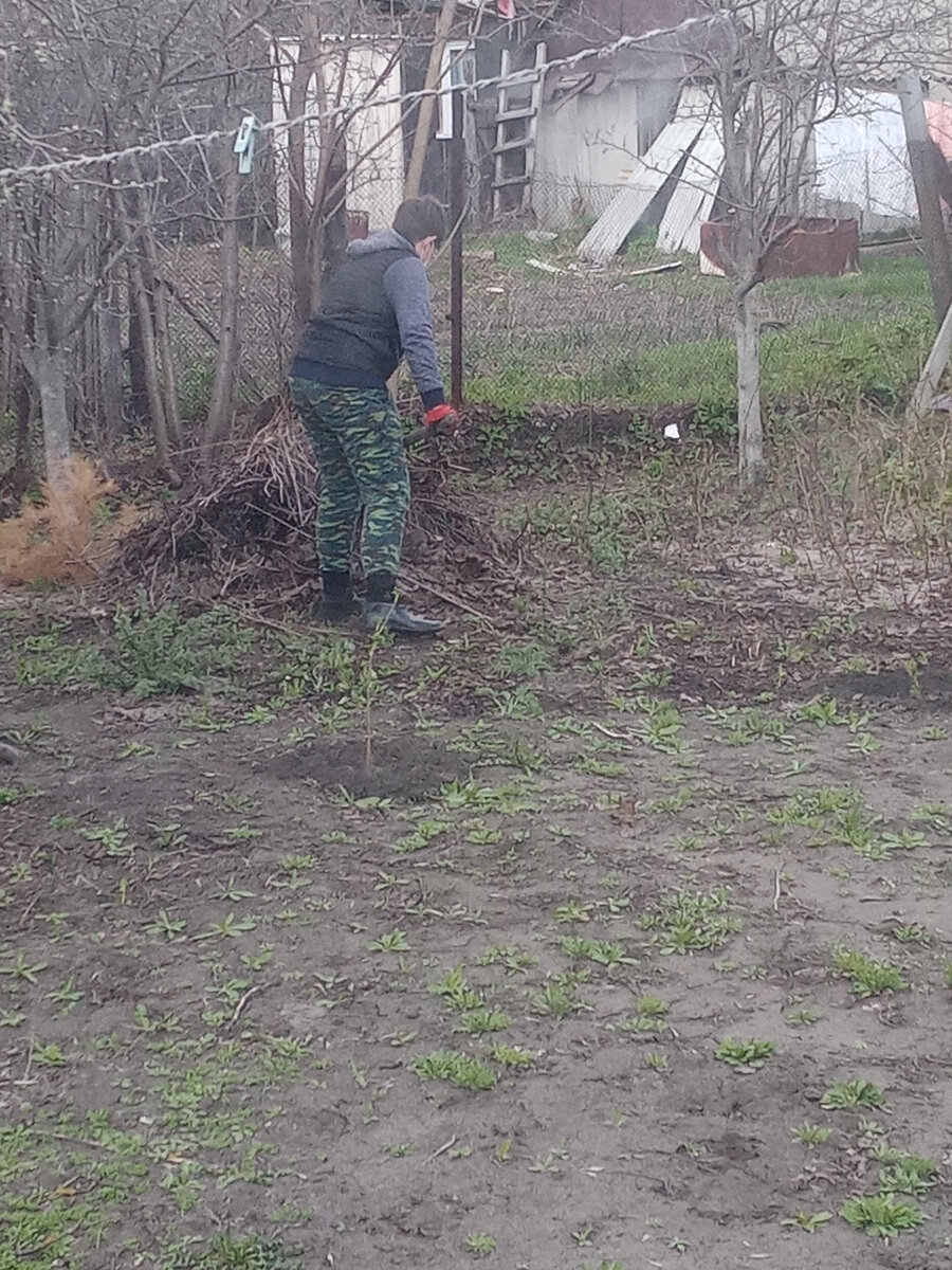 Сынуля 