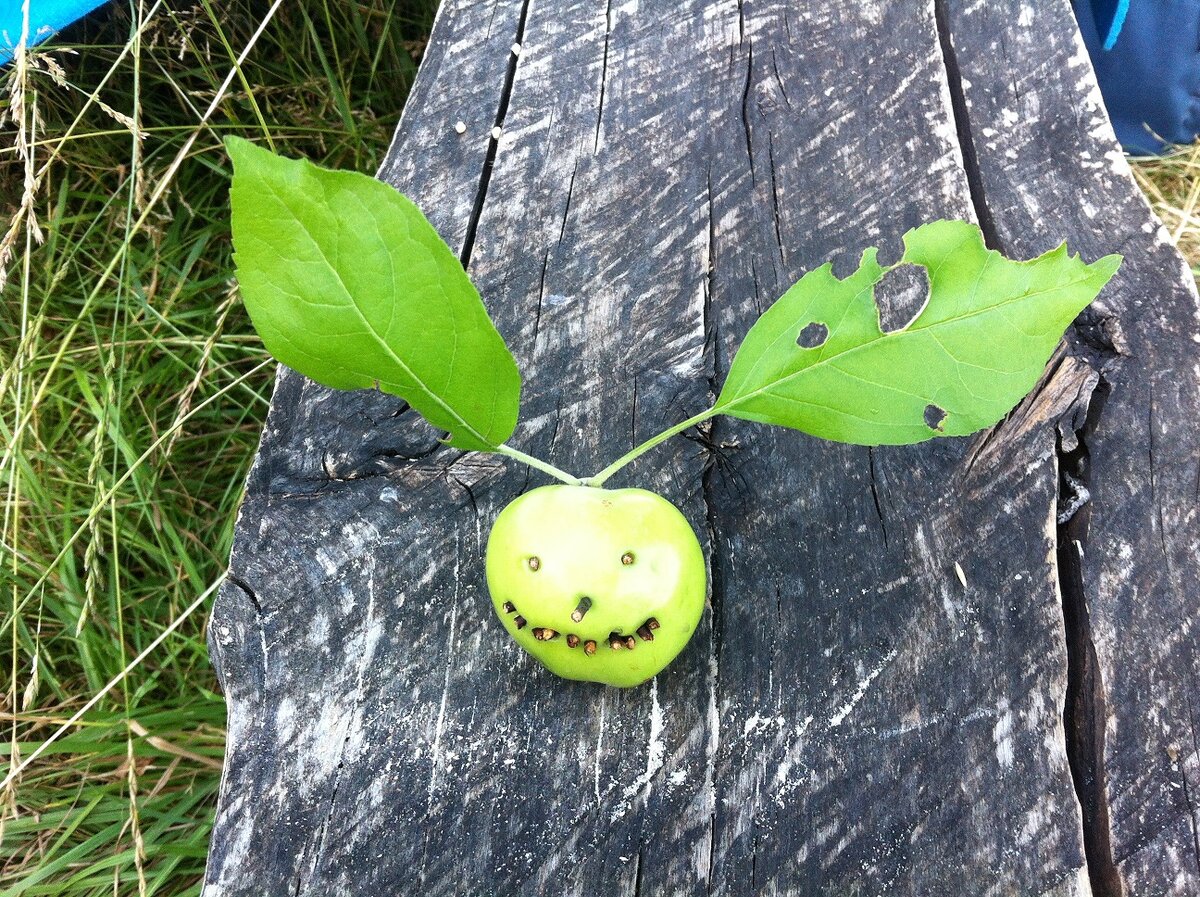 Душа природы