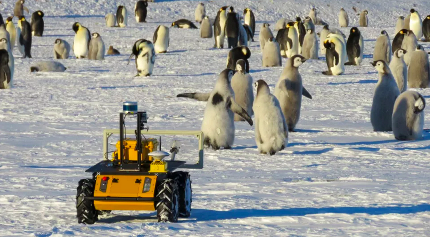 Фото: проект WHOI