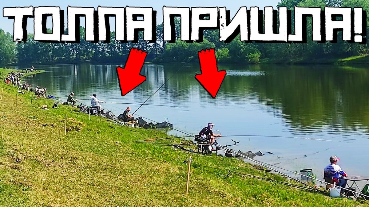 рыбалка с олегом. в сша акула накинулась на мывшего руки рыбака и утащила его под воду. рыбак решил. активность щуки в сосновом бору ленинградской области. рыболов салют.