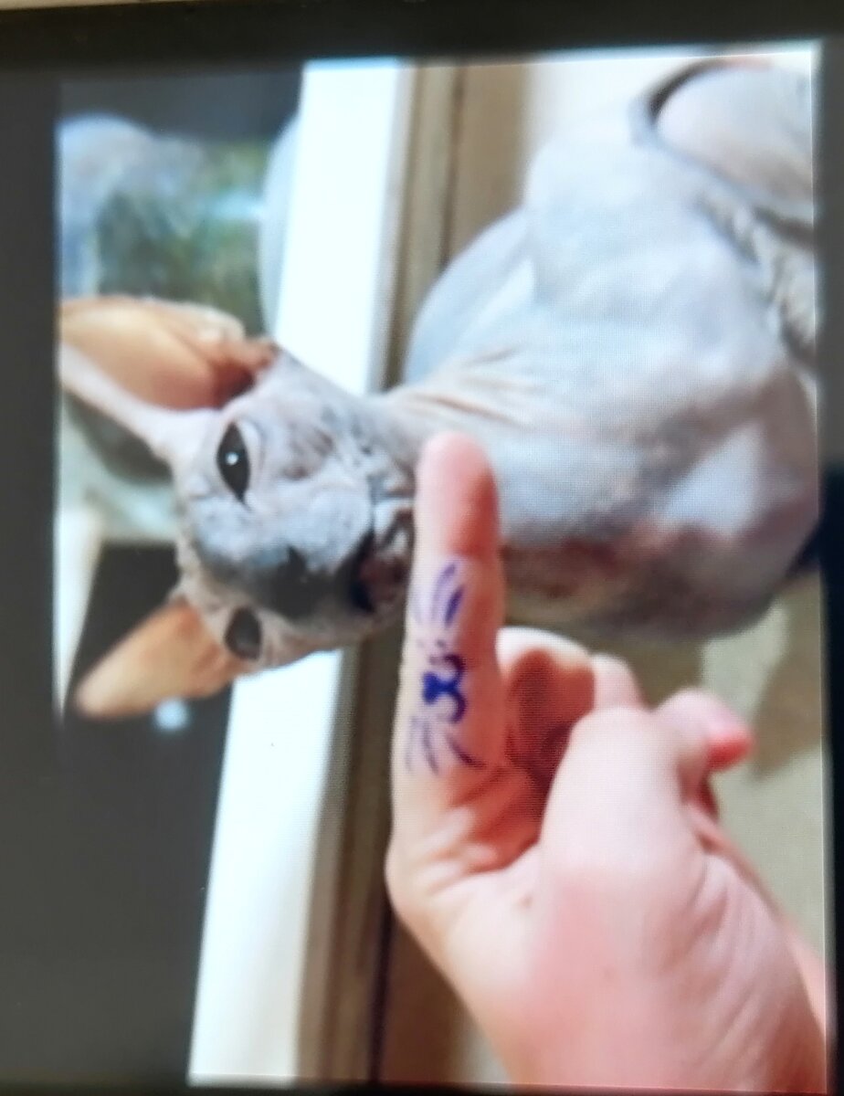 -2