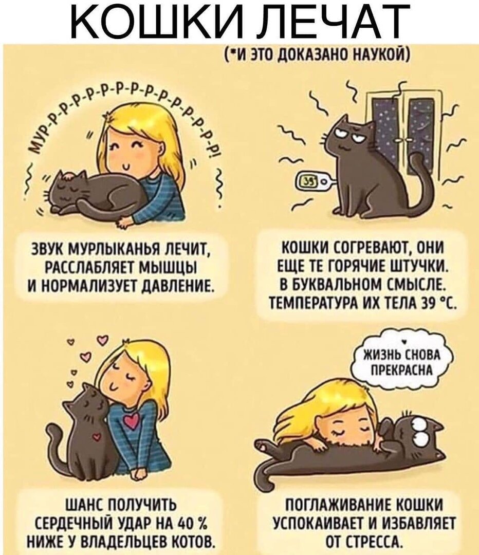 Даже наука двумя руками "за" котиков и "за", то что они полезны!