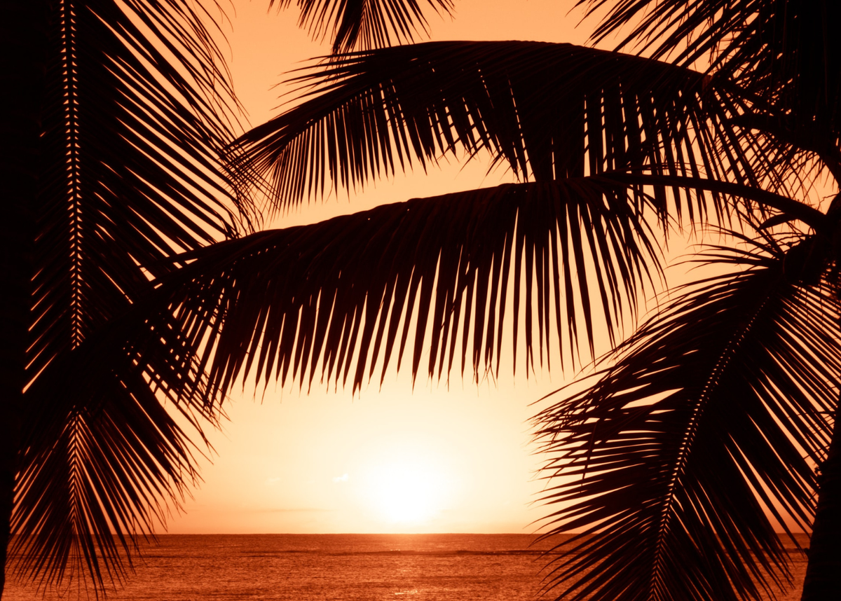 Источник: unsplash.com