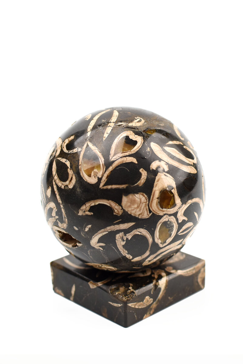 Шарик из танатоценоза. Большое скопление двустворчатых ракушек, некоторые из которых замещены кальцитом ( симбирцитом).