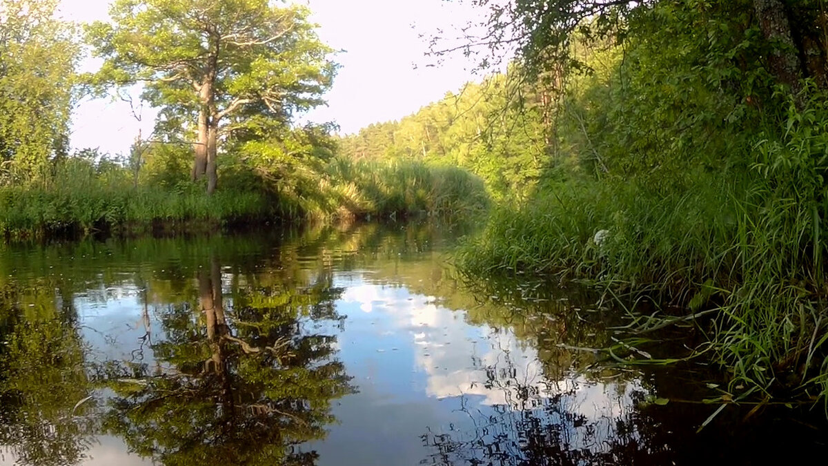 На реке Бобр