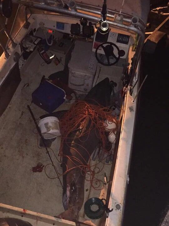 Источник: NSW Marine Rescue 