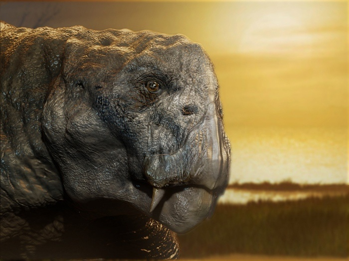 Листрозавры: Звероящеры, пережившие апокалипсис. Когда 90% животных погибло, они выжили и расселились на всю планету!
