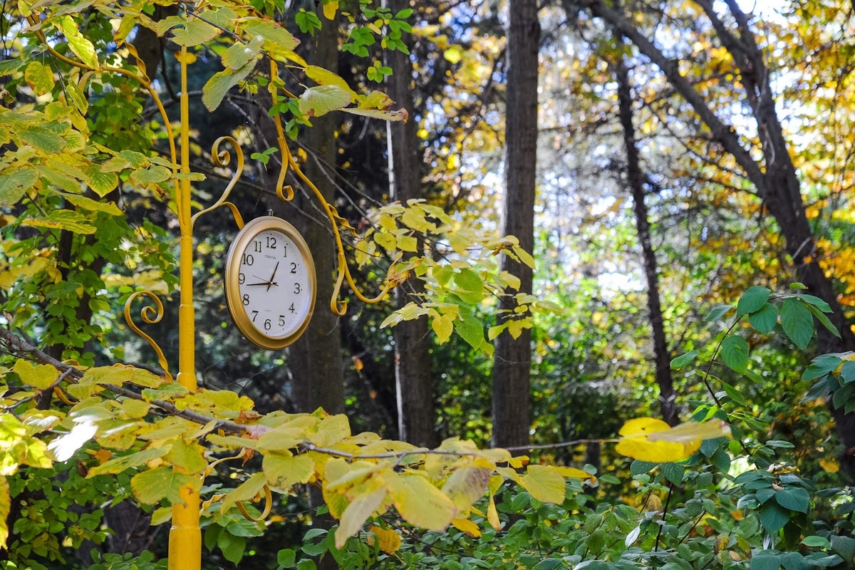  © Фото: ИД «Волгоградская правда» / Кирилл Брага / архив.