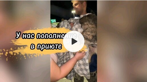 Download Video: У нас пополнение в приюте 🐶