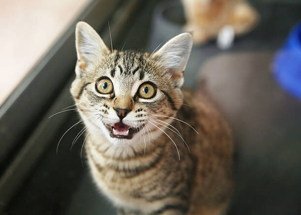  фото сайт istockphoto.com