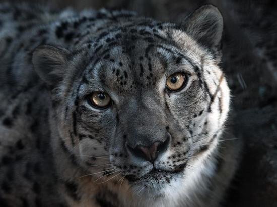     ФОТО UNSPLASH.COM