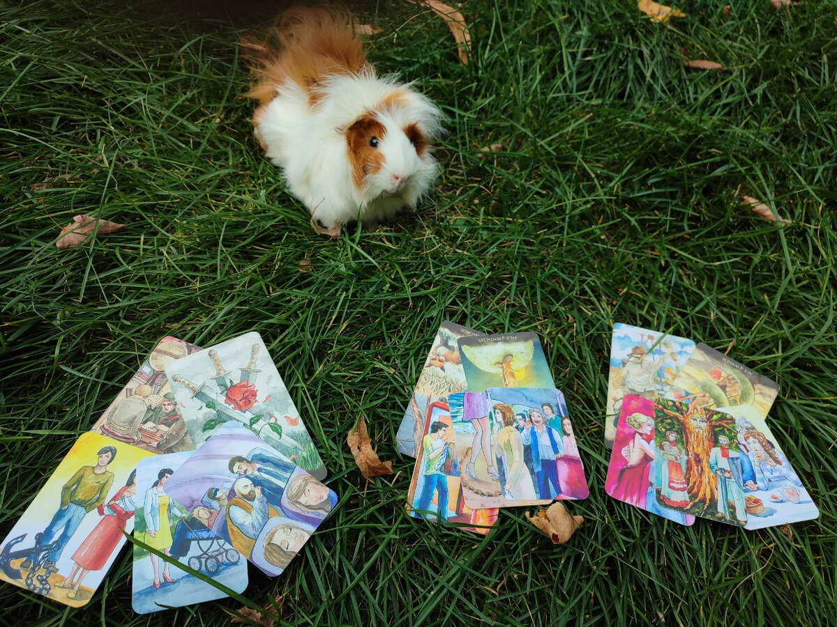 А вот и ответы