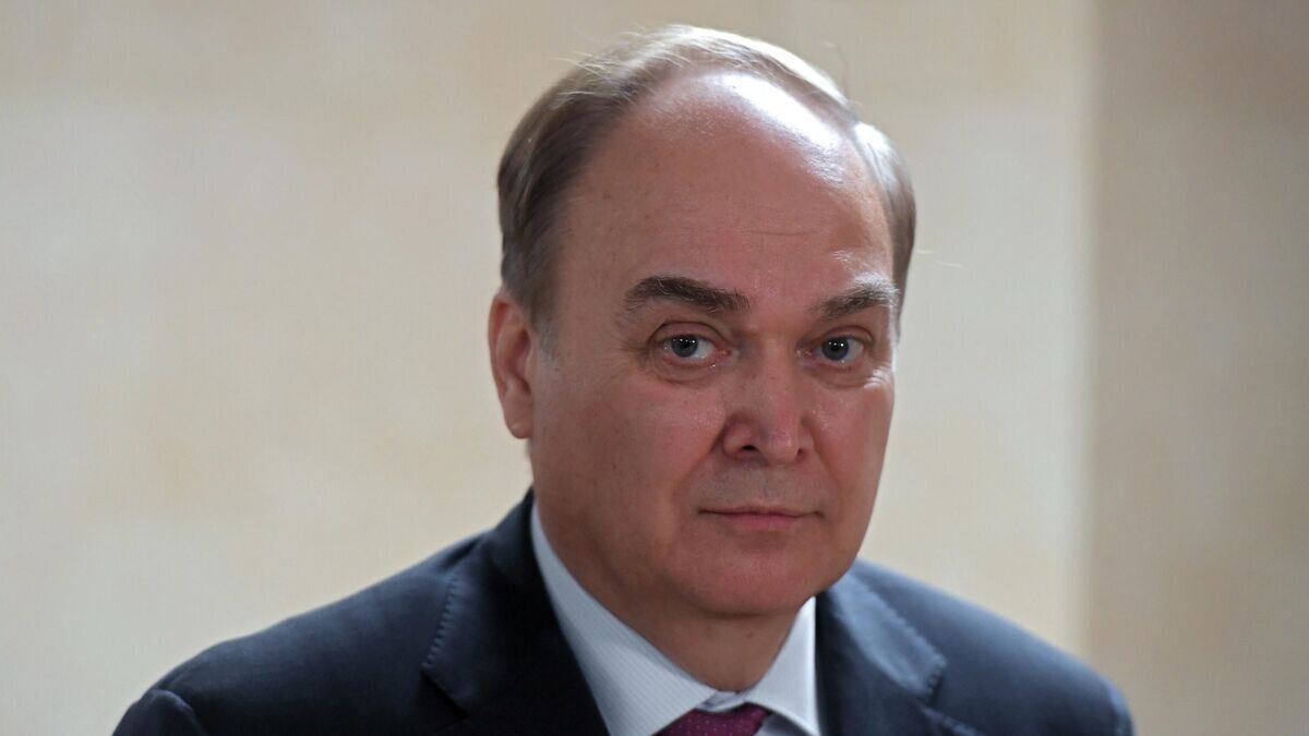    Посол РФ в США Анатолий Антонов во время брифинга в Государственной Думе РФ в Москве© РИА Новости / Илья Питалев