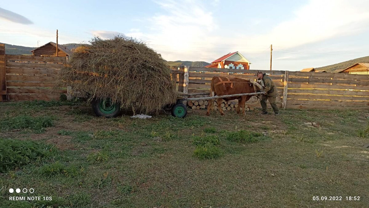 Учимся пятить телегу