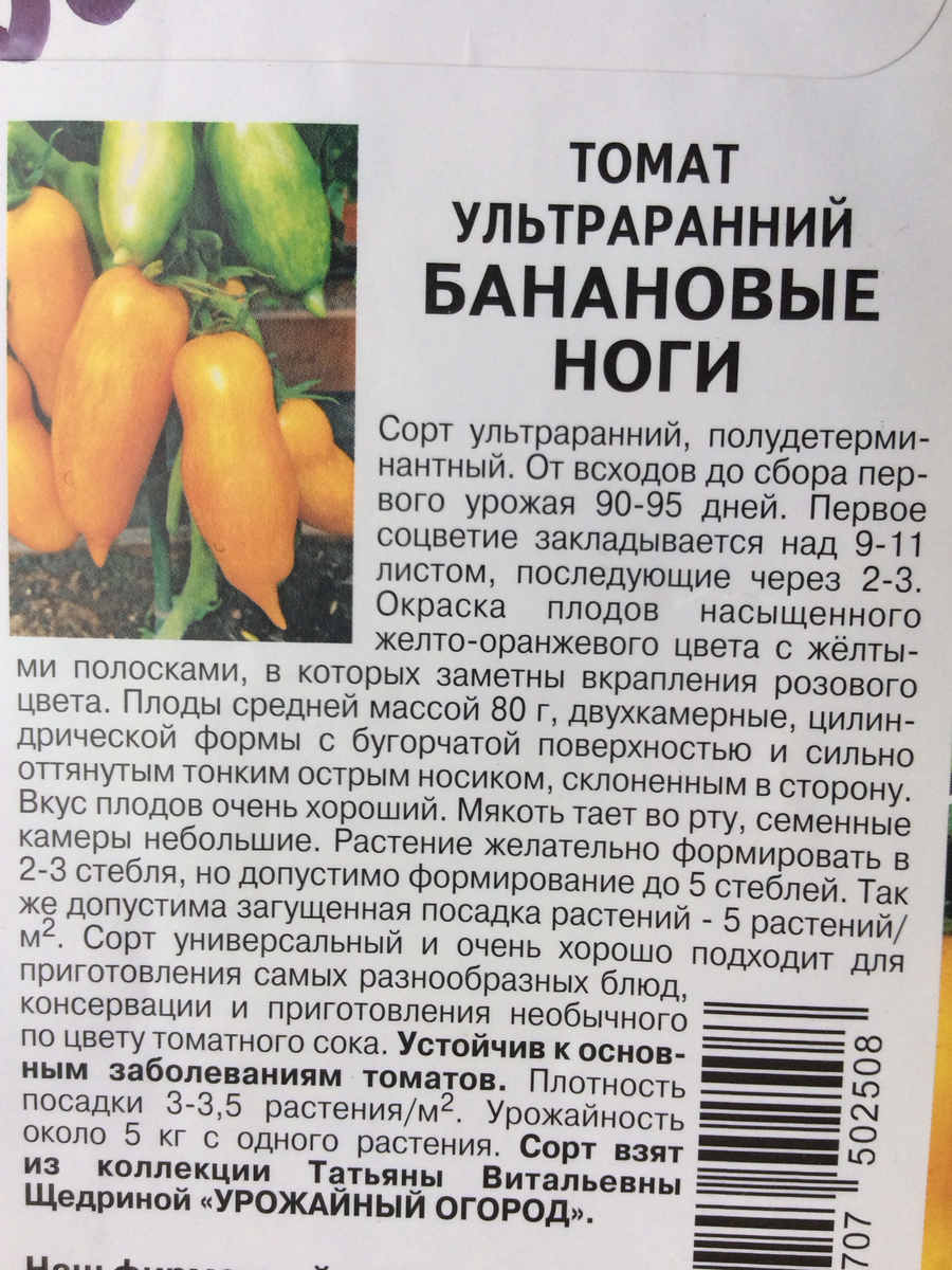 Помидоры банановые ноги описание сорта. Томат банановые ноги. Томат банановые ноги характеристика. Банановые ноги томат описание. Неприхотливые томаты.