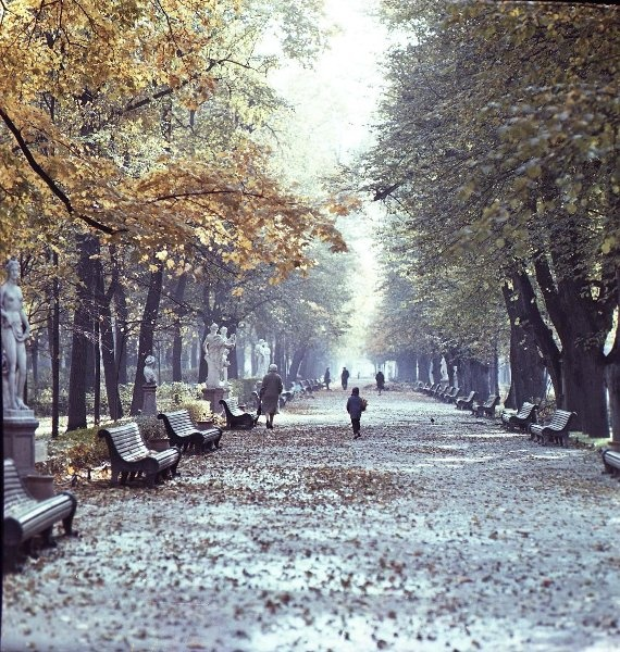 Иван Шагин Аллея в Летнем саду
Дата съемки: 1950 - 1969