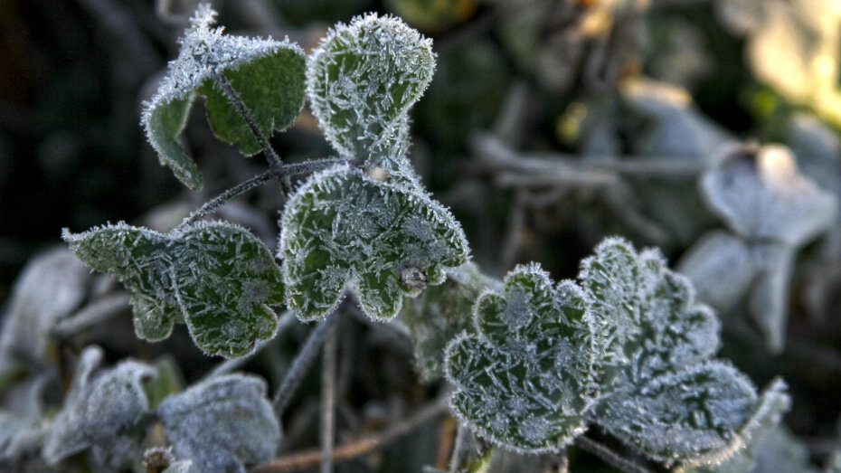   Автор фото: Евгения Емельянова (из архива)