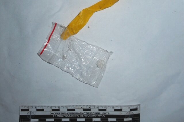    Полиция пресекла канал распространения синтетических наркотиков. Фото: МВД по Пермскому краю