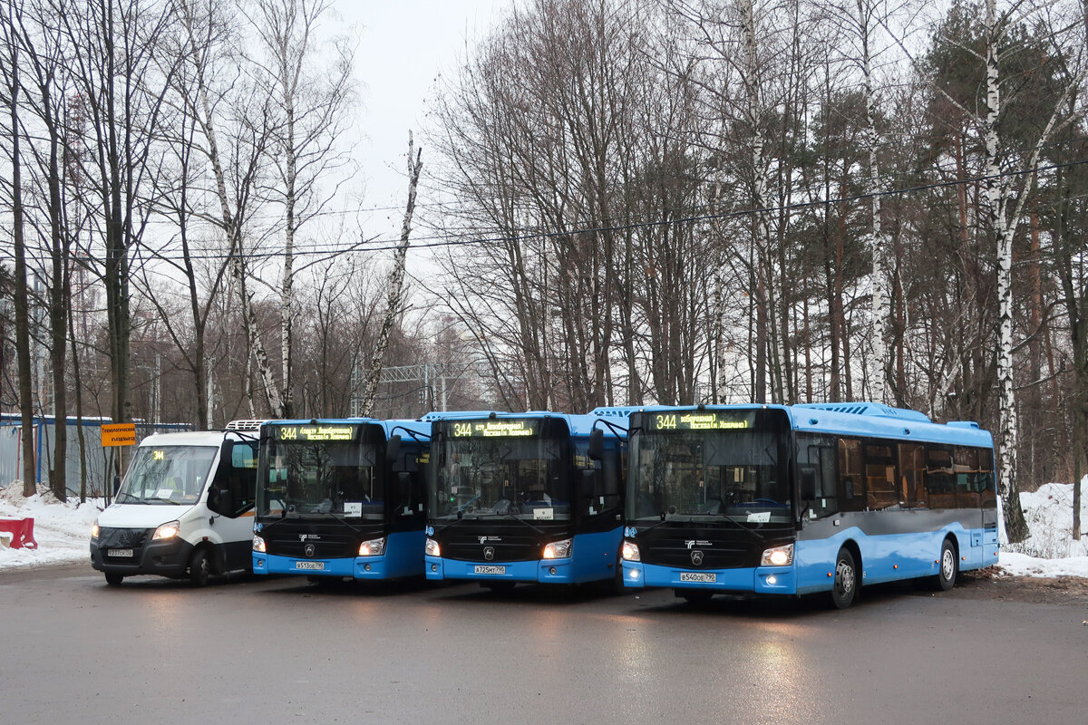 Самый популярный автобус из Москвы в область | Колесо транспортного  обозрения | Дзен