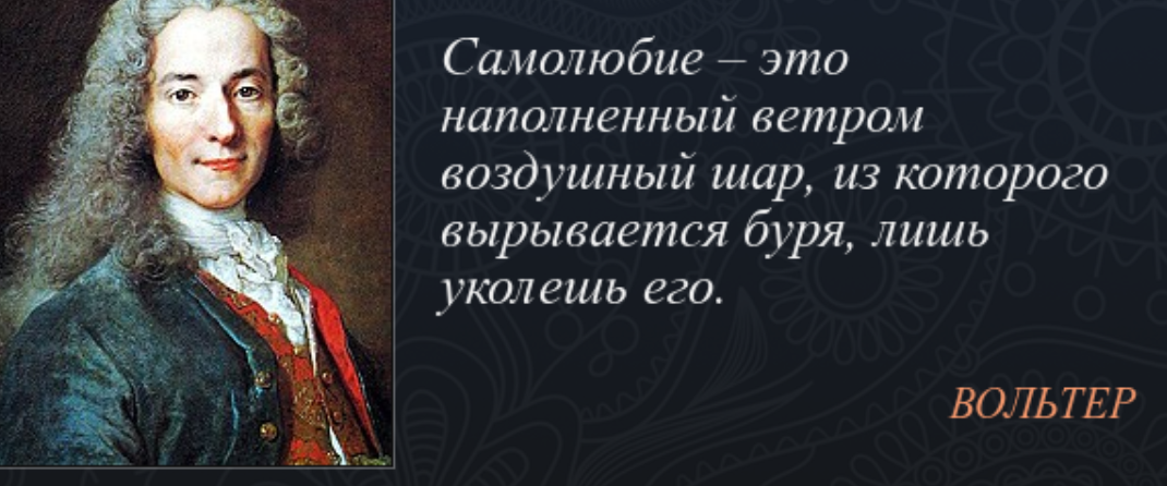 Вольтер торжество разума заключается в том. Высказывания об истории. Самолюбование цитаты. Исторические цитаты.