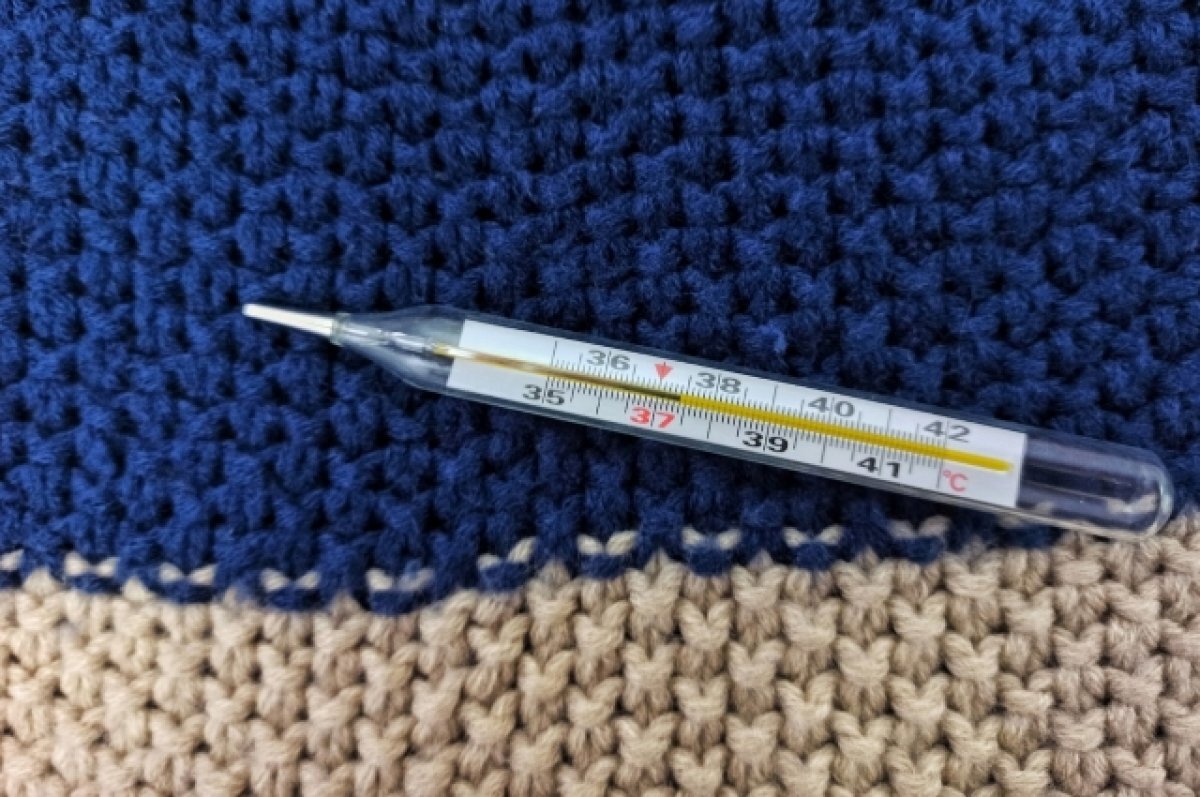    Заболеваемость ОРВИ в РФ пойдет на спад после новогодних праздников - ТАСС