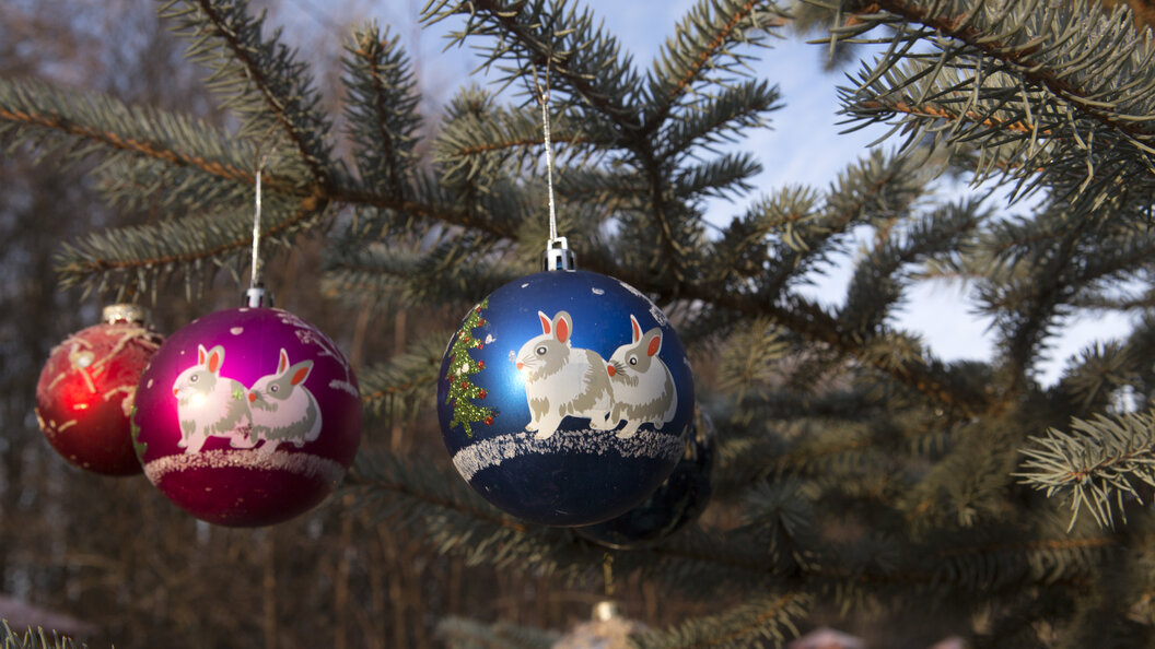    Фото: globallookpress.com