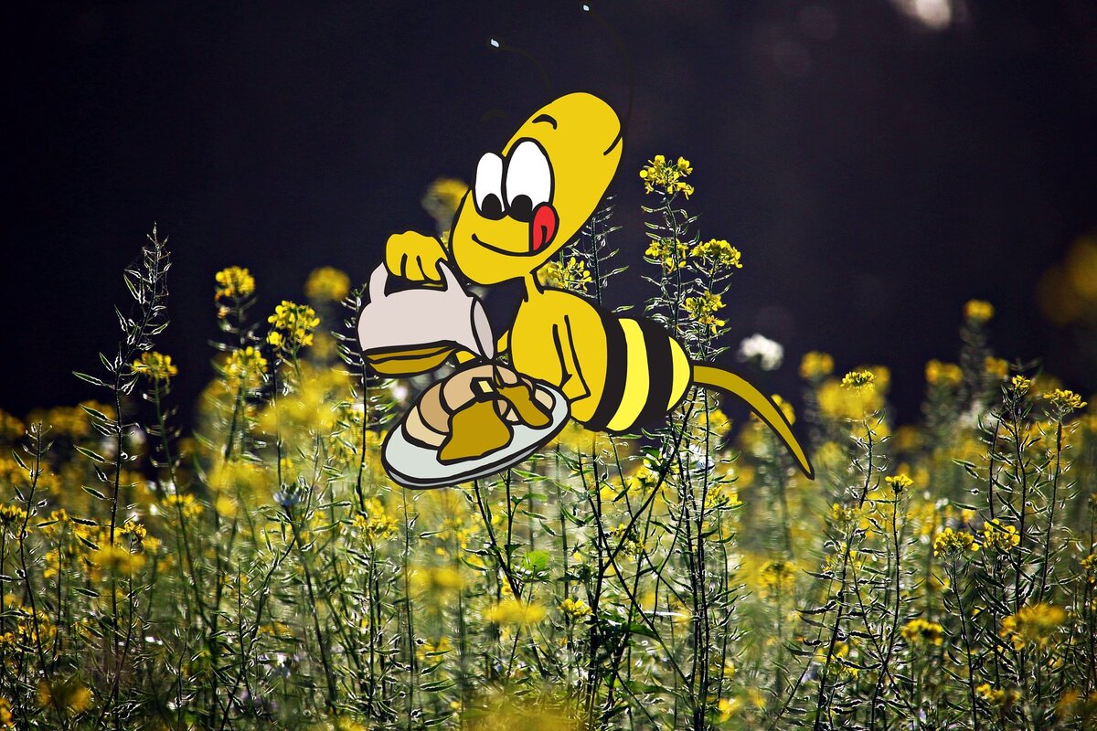 Аллергия на мёд