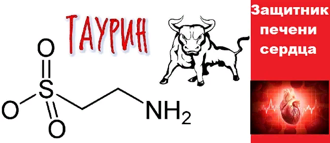 Таурин -это важный элемент при сахарном диабете. | Диабет. Здоровье ...
