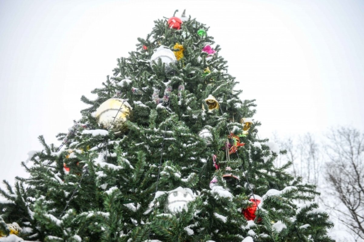    Новогодняя ночь в Ростовской области выдалась напряженной.