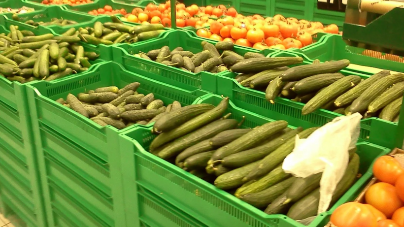   Фото Архив ИА «Свободные новости»