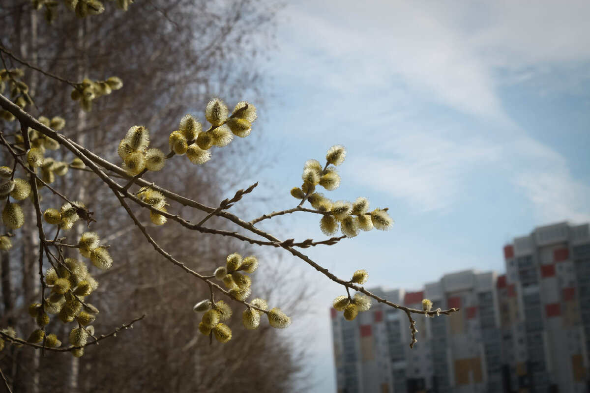 Челябинск, апрель