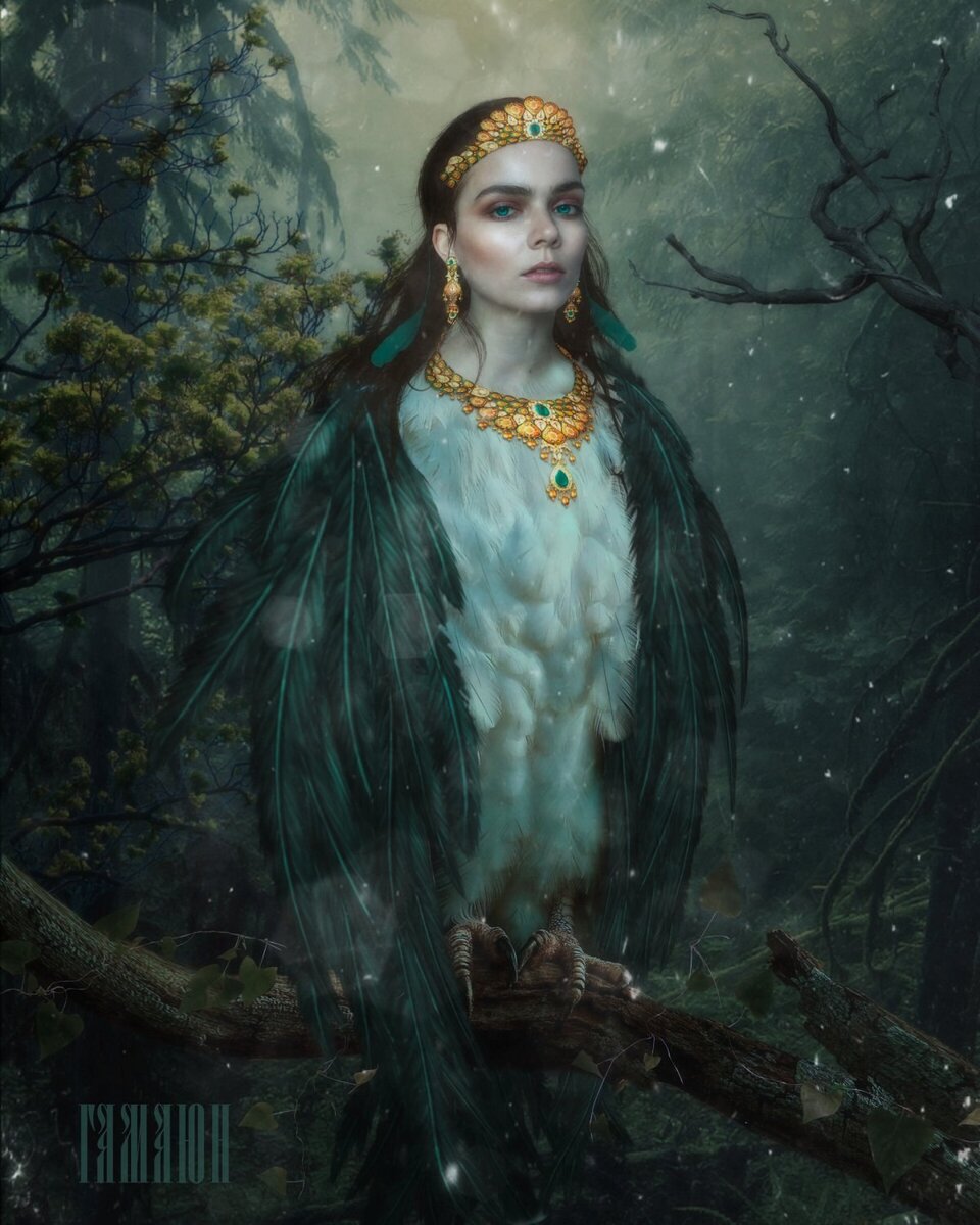 Взято из открытых источников.