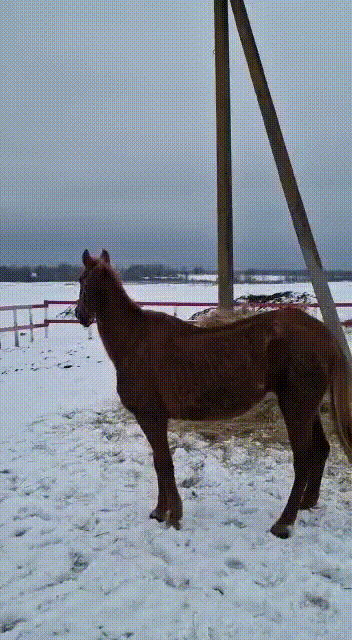 -7