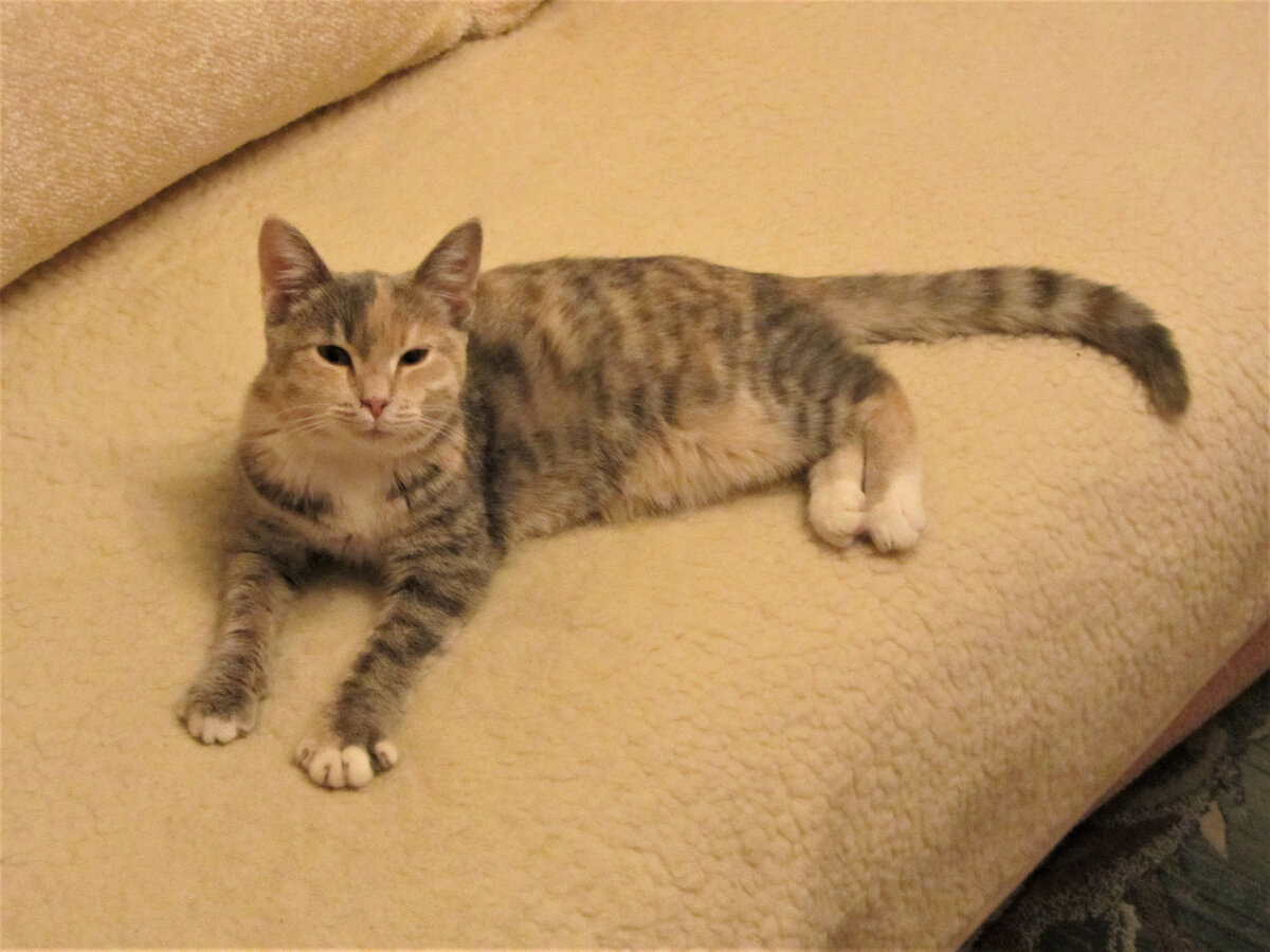 Малышка Феня