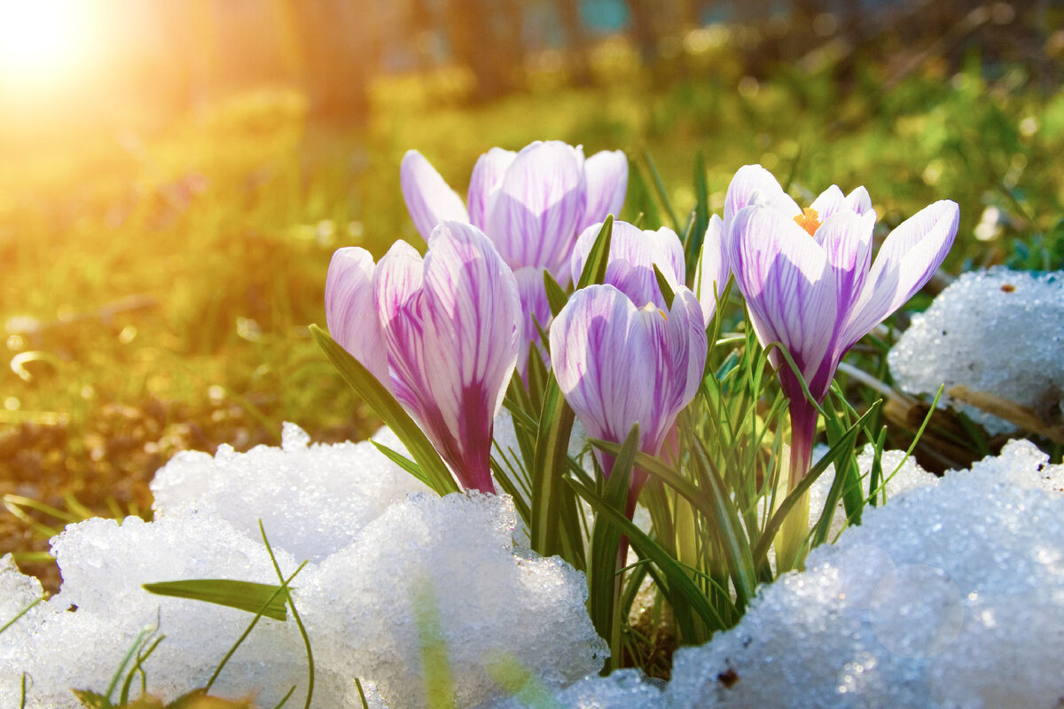   Фото: iStock