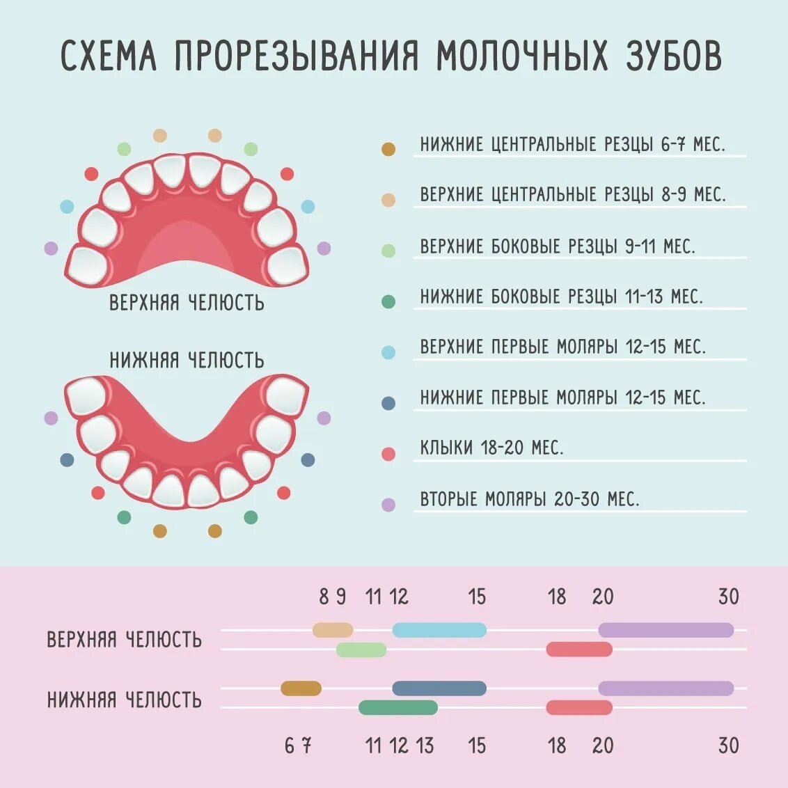 У ребенка зубы растут не по схеме форум
