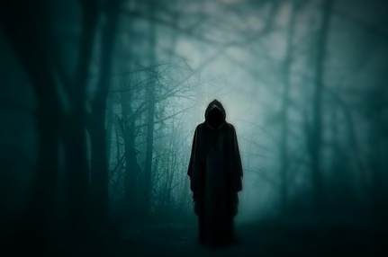 изображение из общего доступа