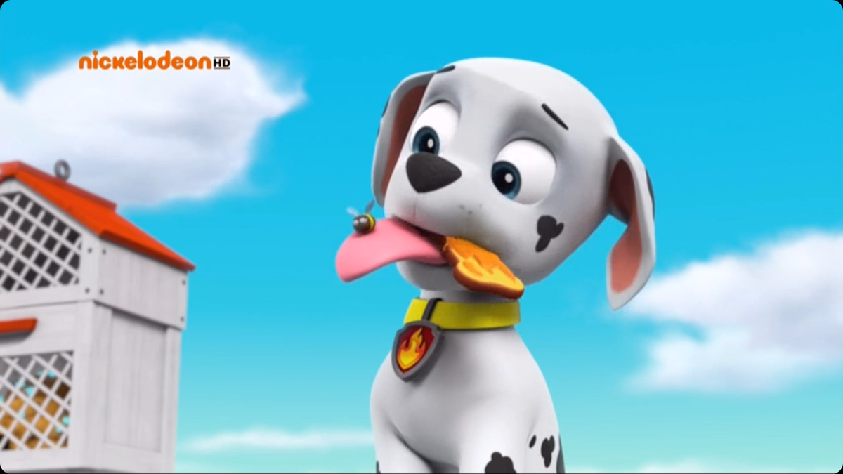 Маршал чуть не съел пчелу, но она его даже не ужалила.